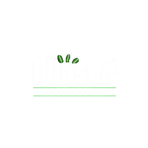 plaser logo bianco