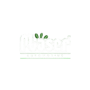 b2bplaser-led.com